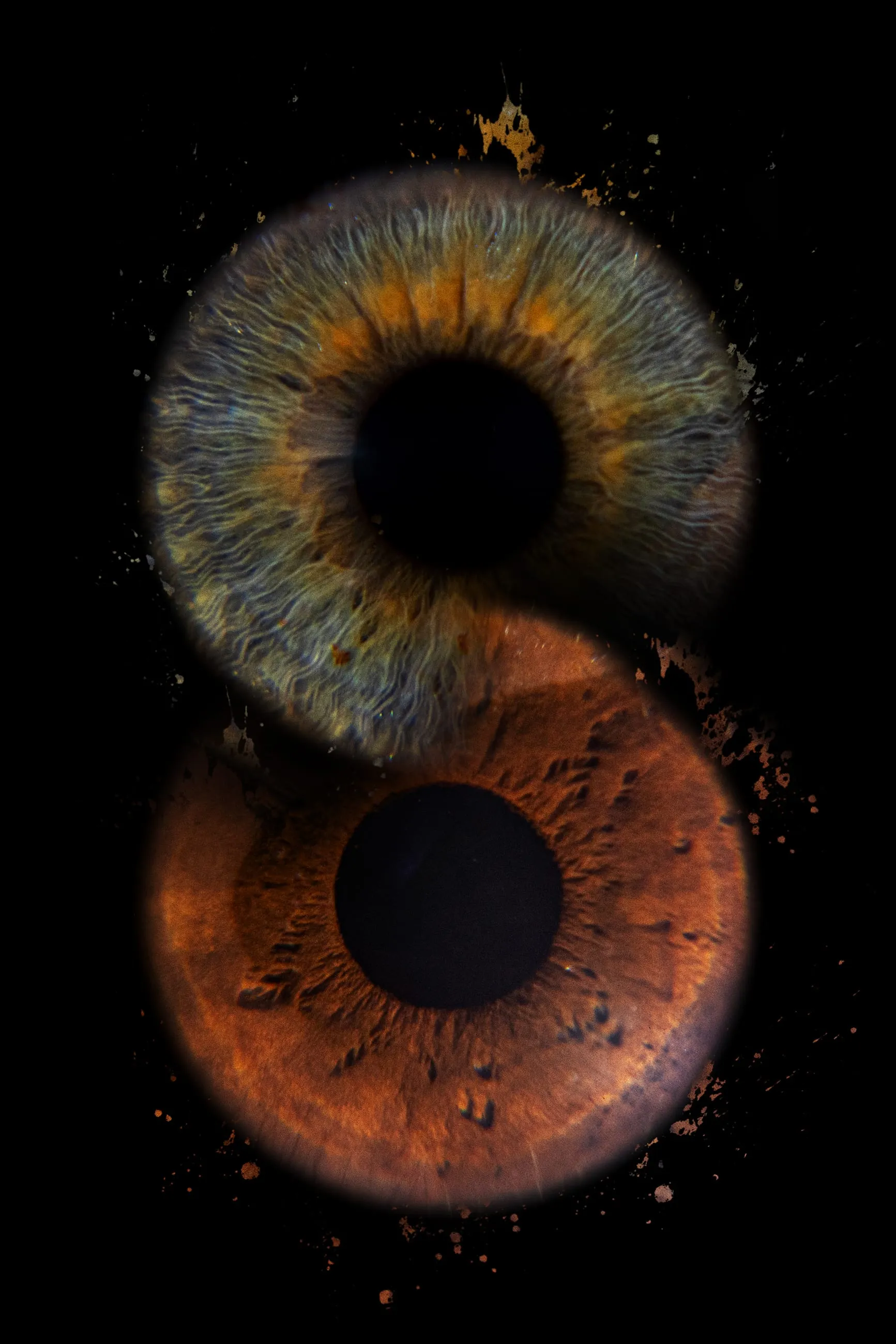 Blue-green and brown irises merged into a figure of eight
