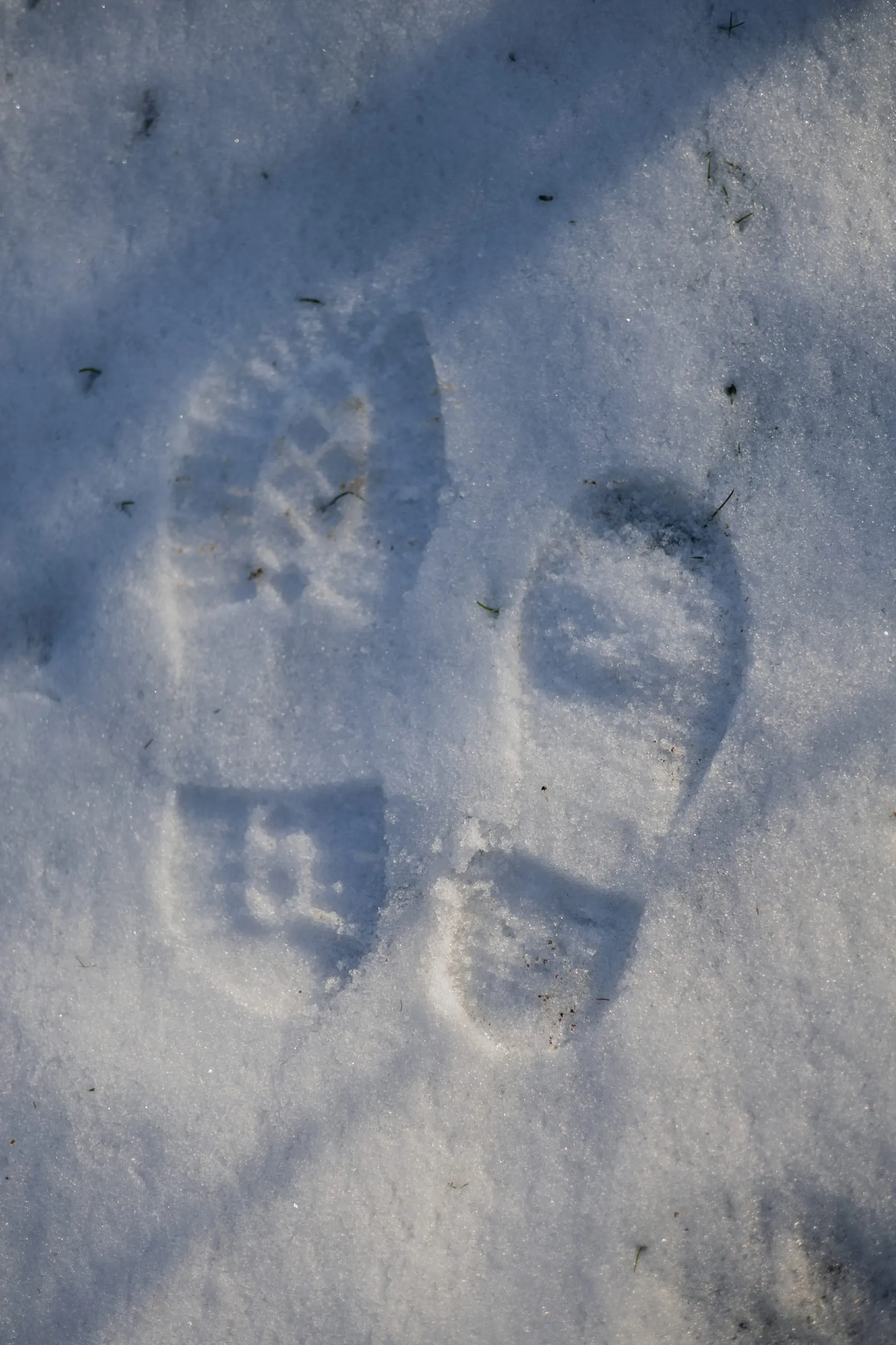 Two boot prints pressed into fresh snow