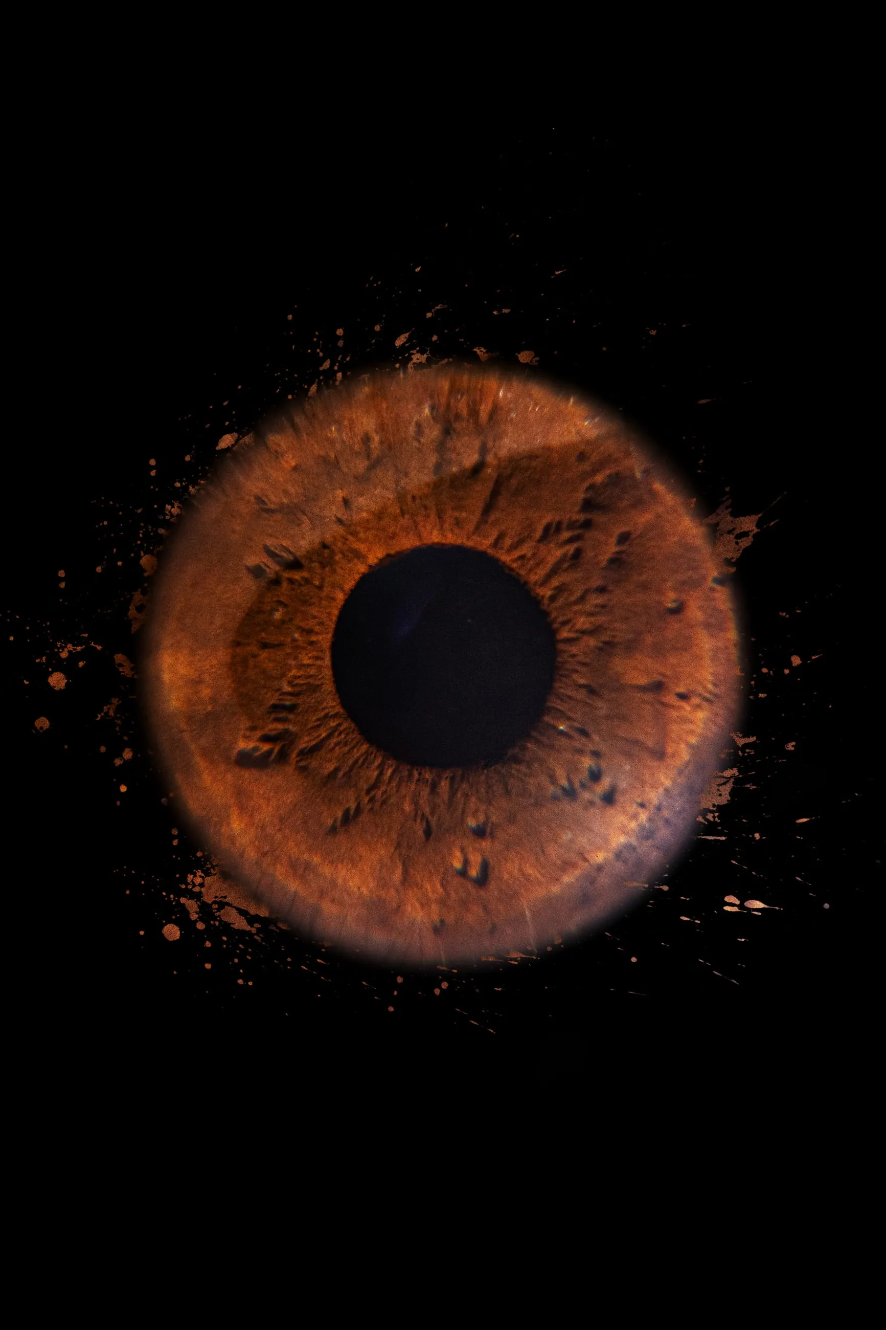 Copper-brown iris in extreme close-up on black