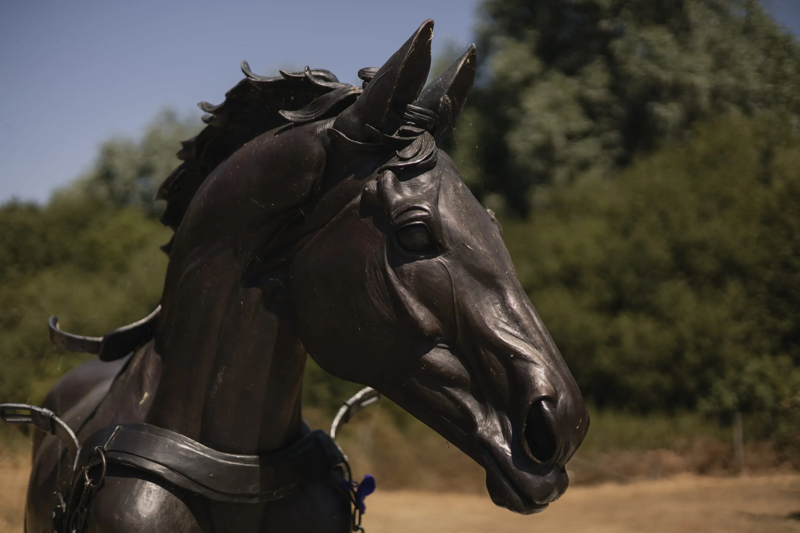 Bronze horse's head against summer trees