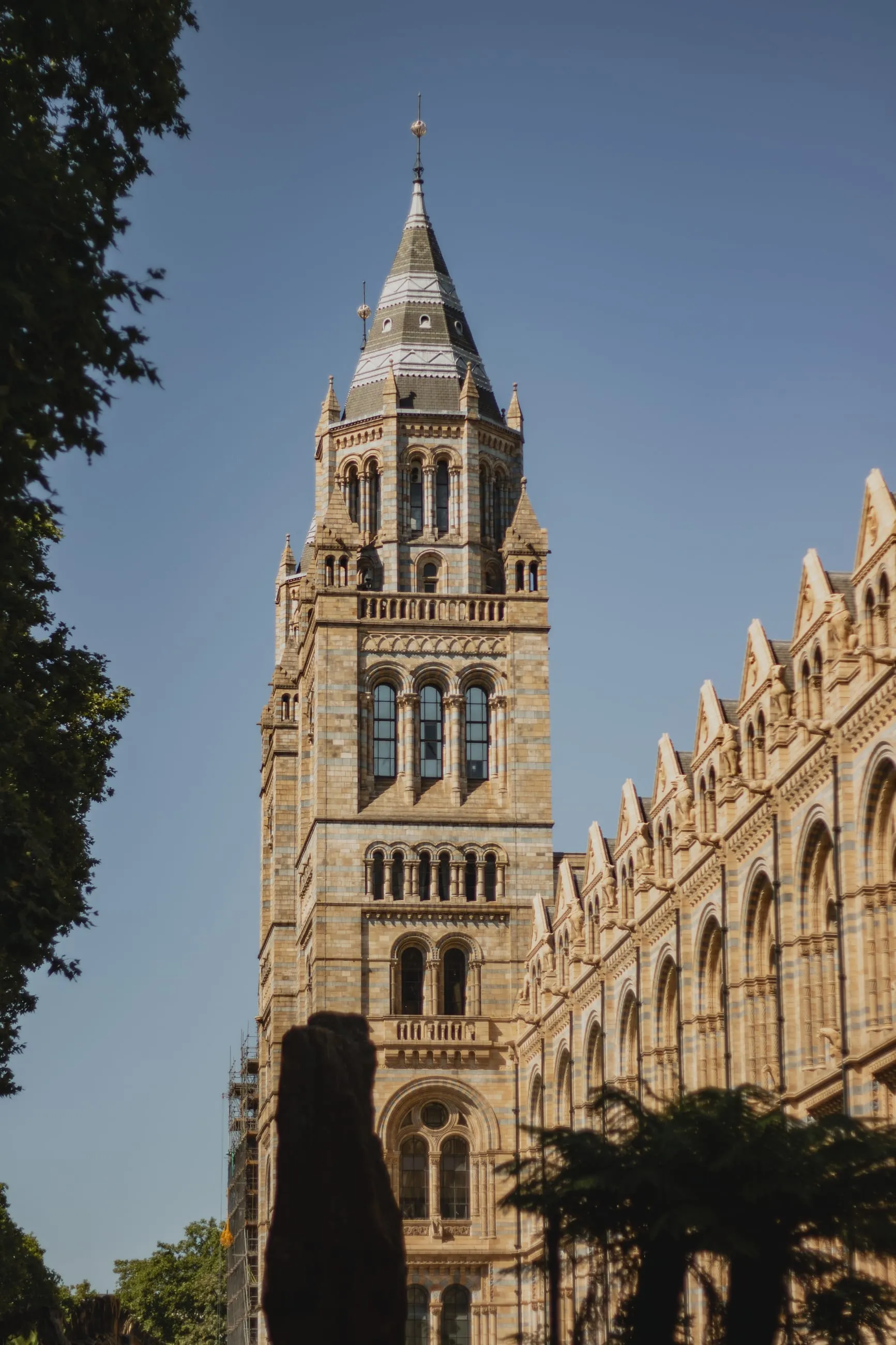 Natural History Museum tower framed by trees
