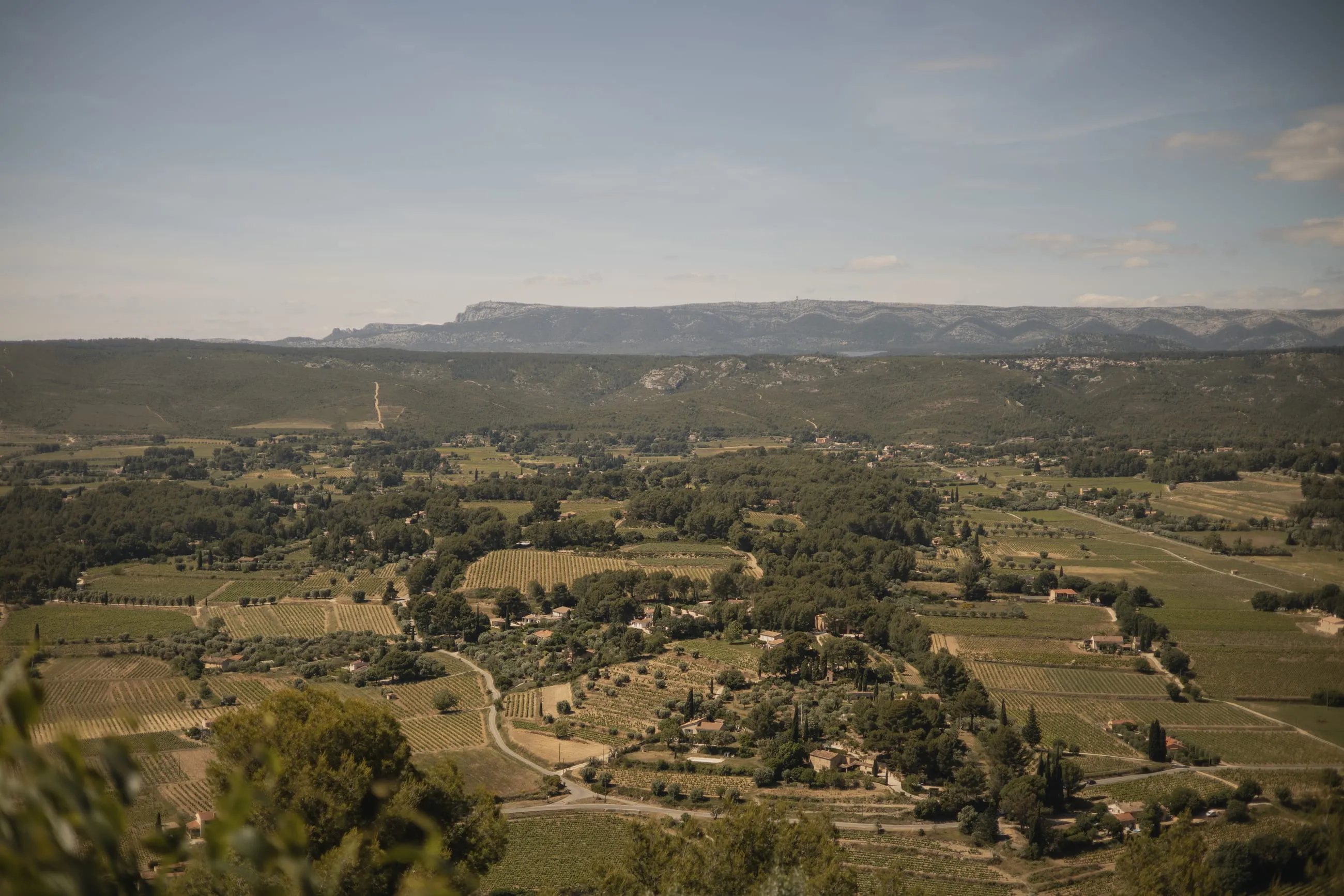Patchwork valley of vineyards below a long ridge