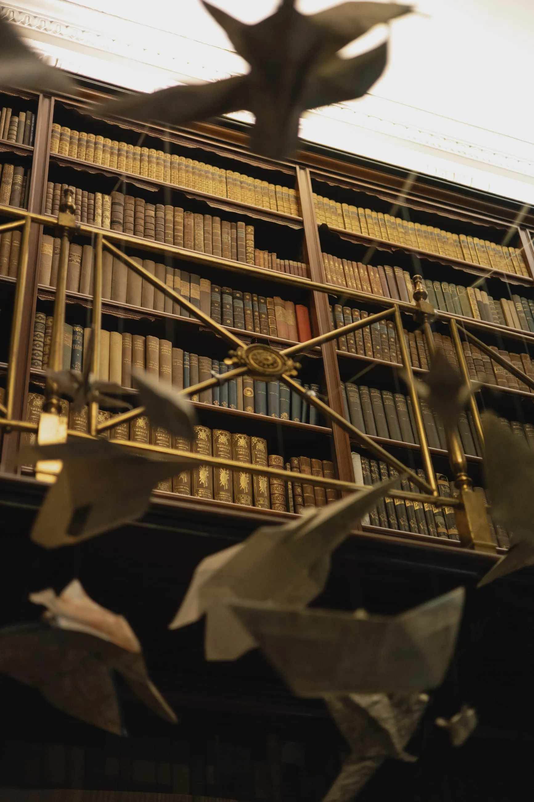 Library shelves with paper birds suspended overhead