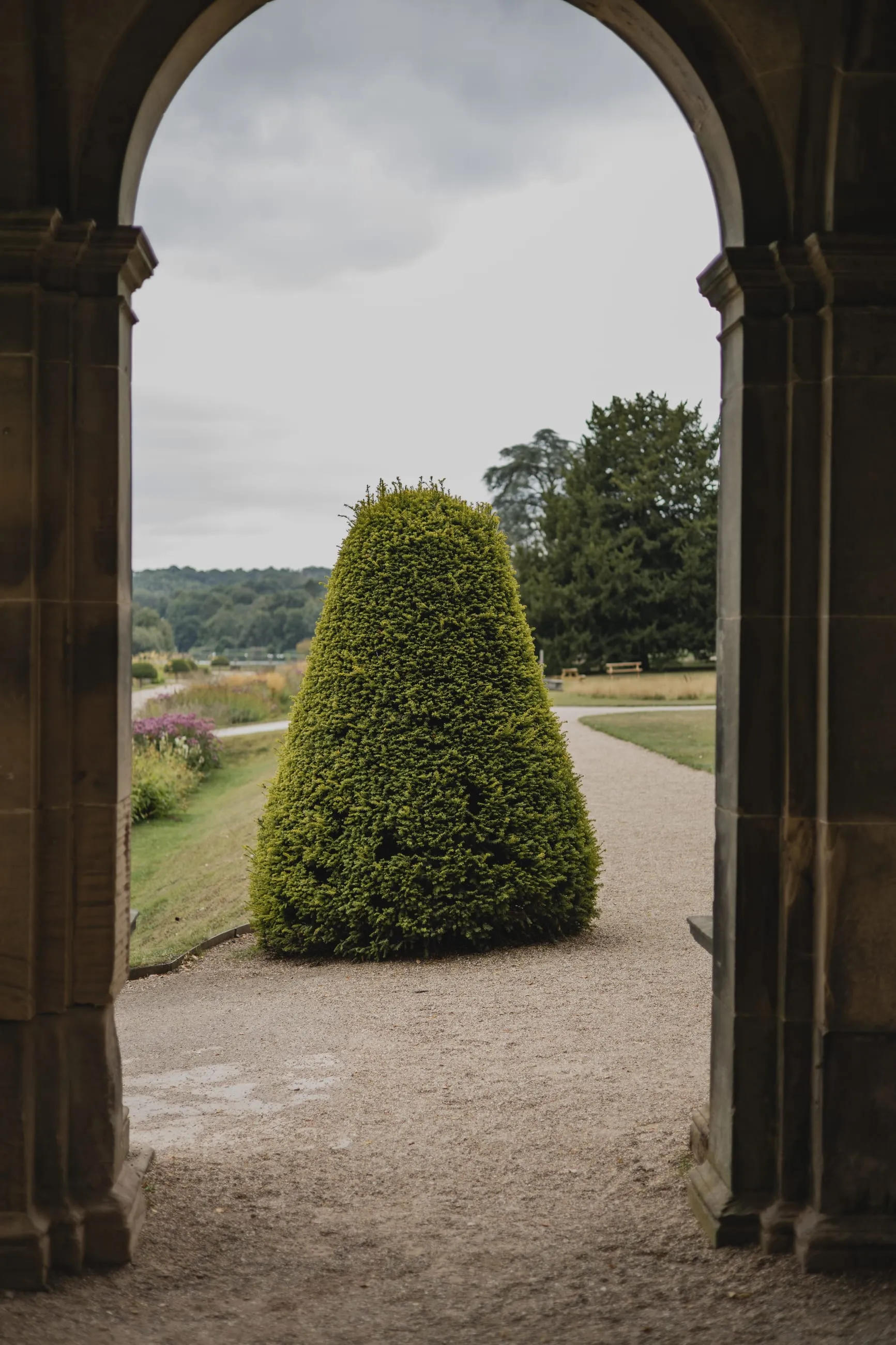 Topiary cone framed by a stone archway