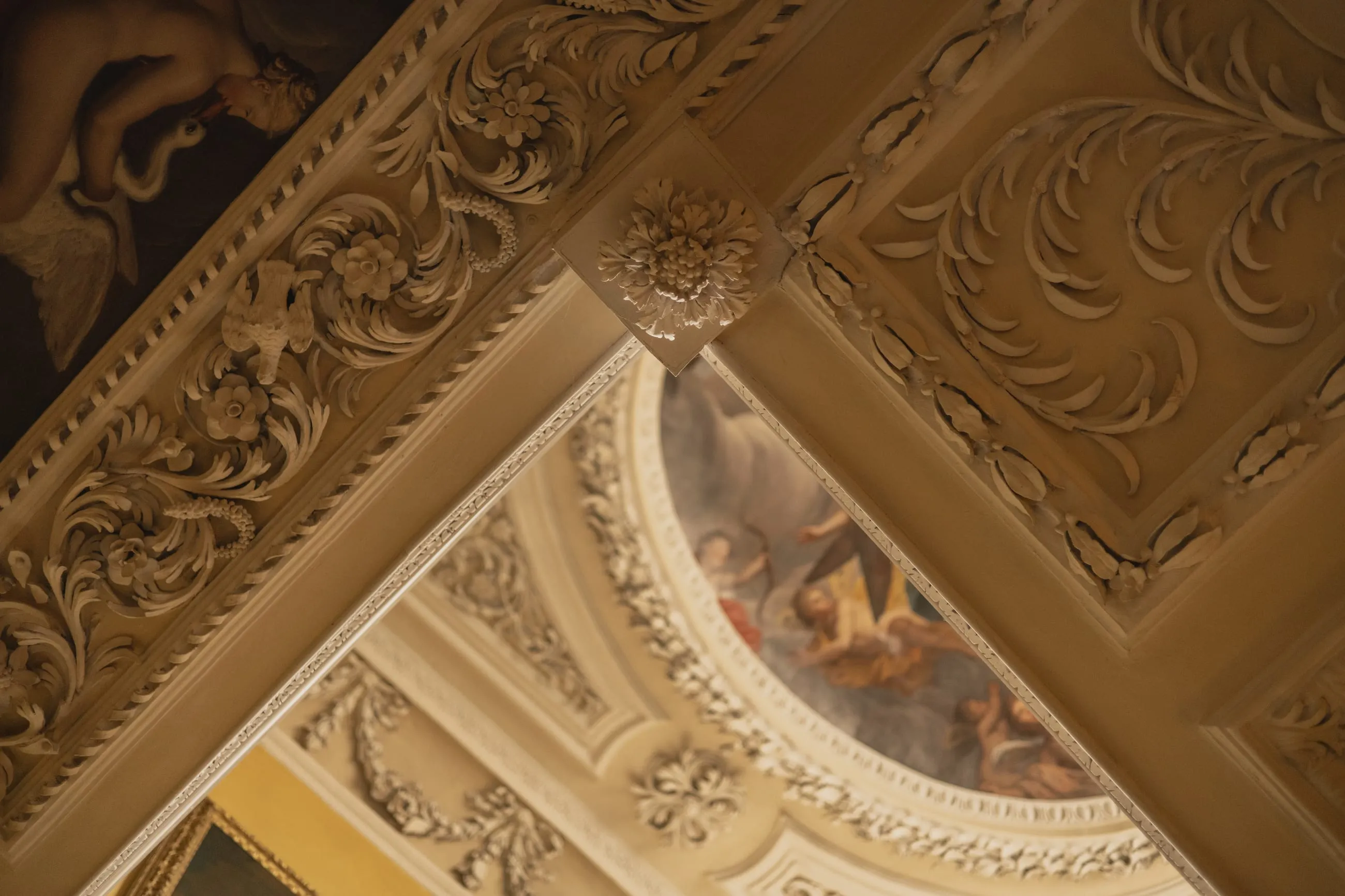 Corner of an ornate gilded plaster ceiling