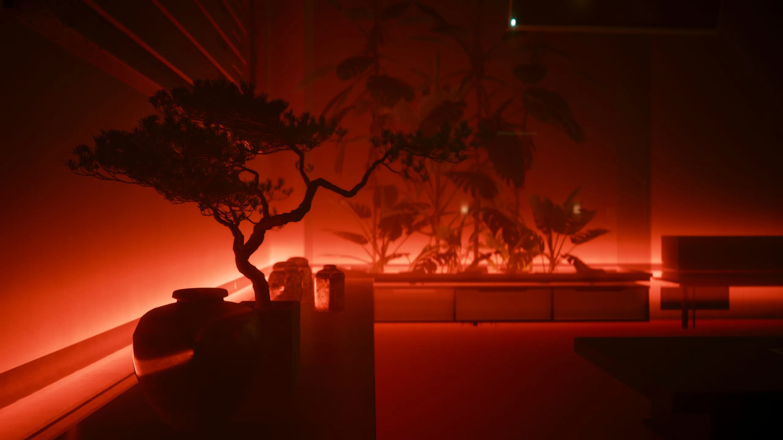 Bonsai silhouette in a room flooded with red light