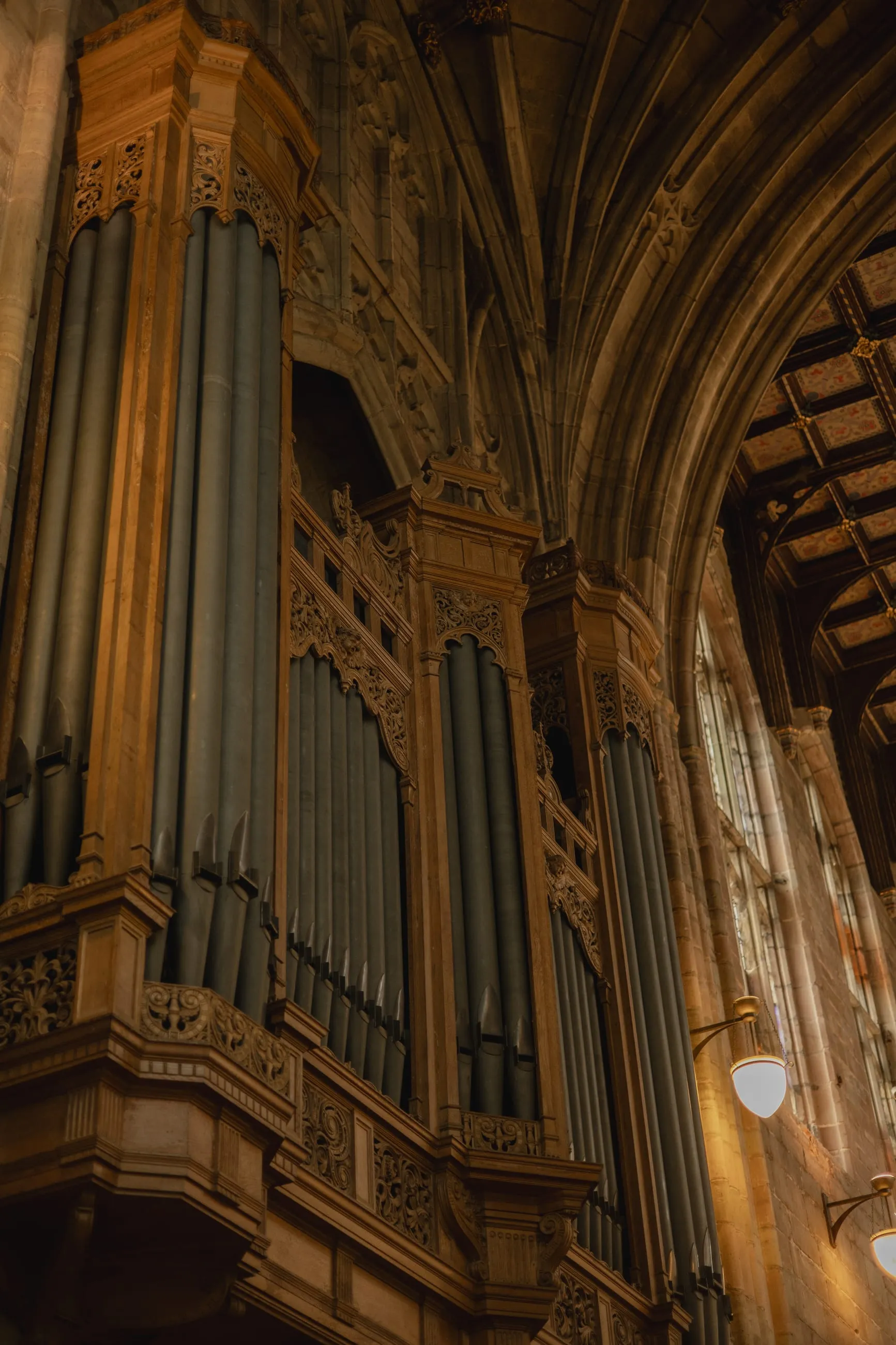 Organ pipes and carved woodwork in warm light