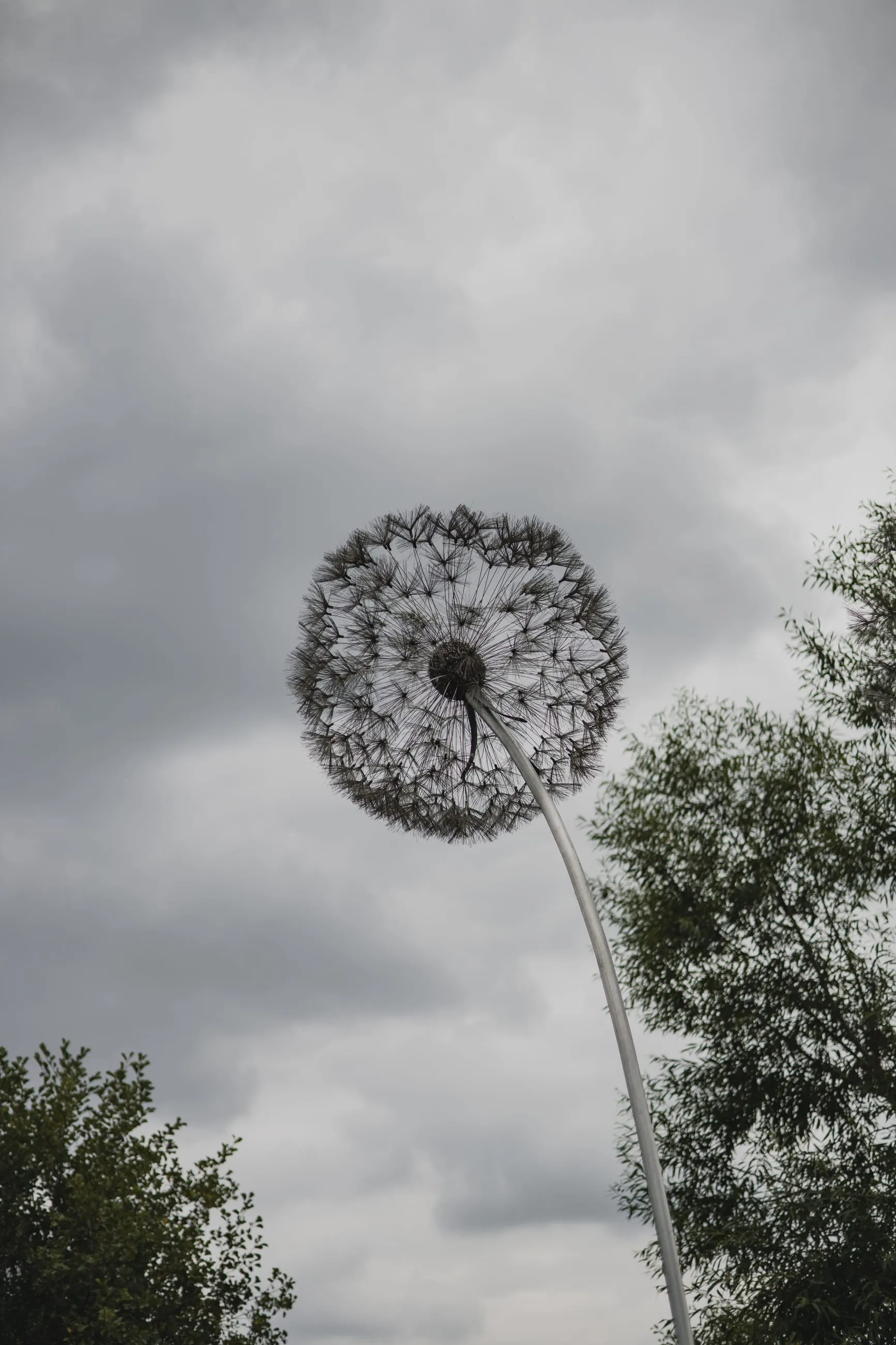 Giant wire dandelion sculpture against white sky