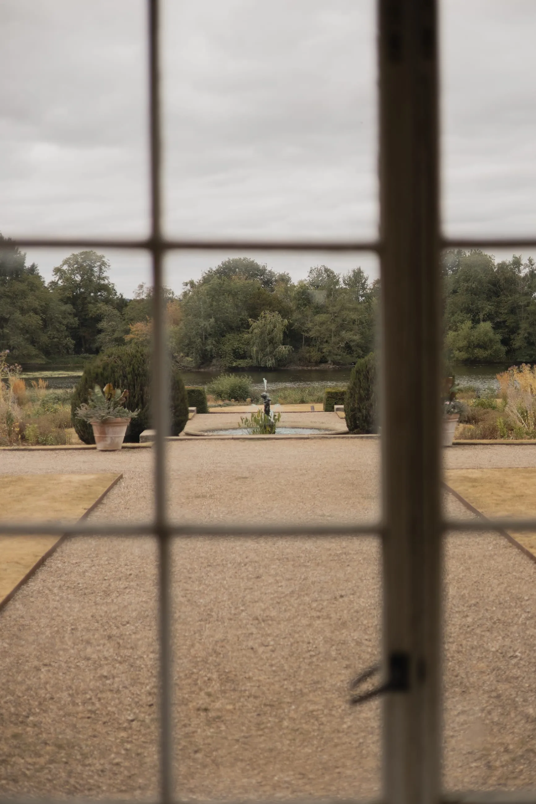 Garden seen through an old sash window