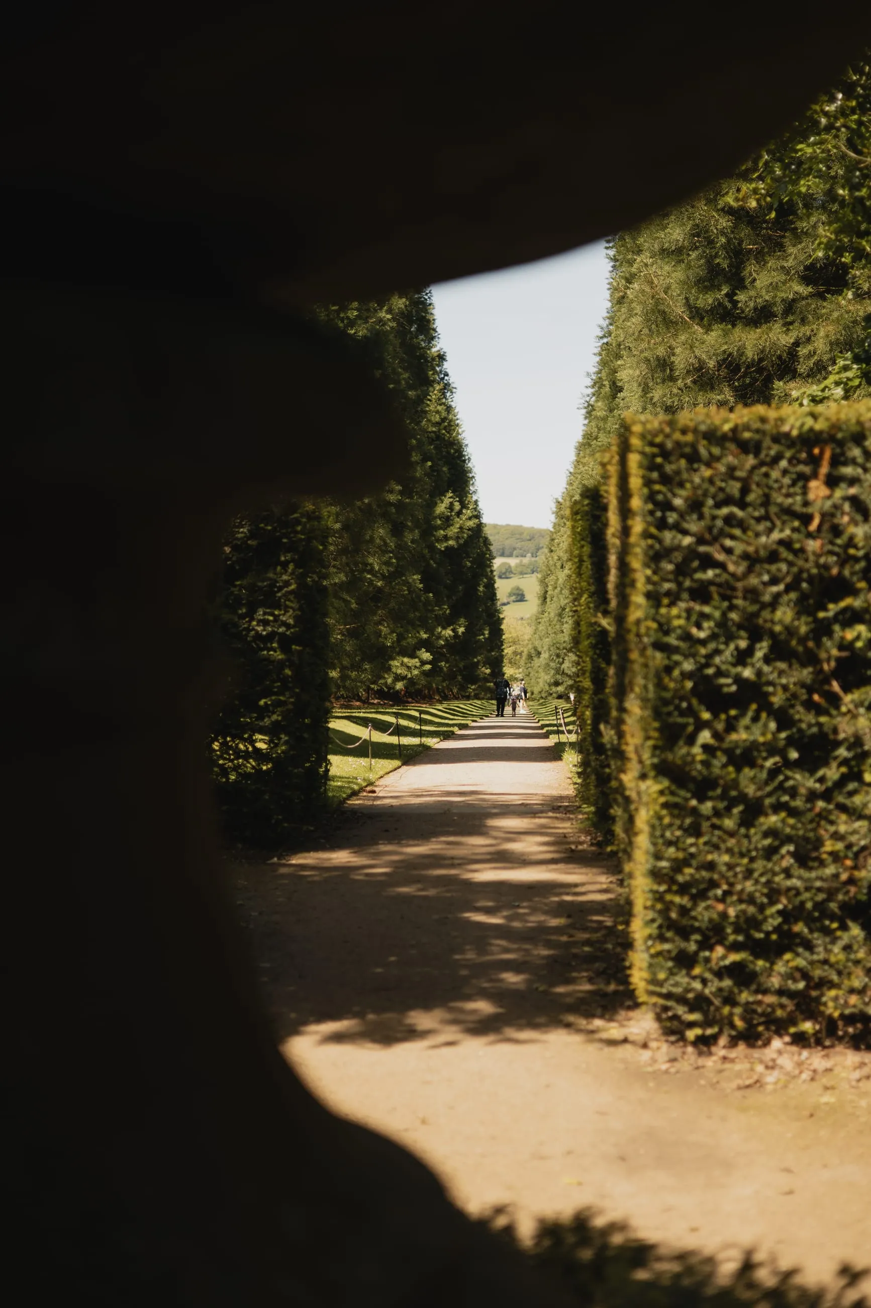 View out of a dark yew tunnel into sunlight