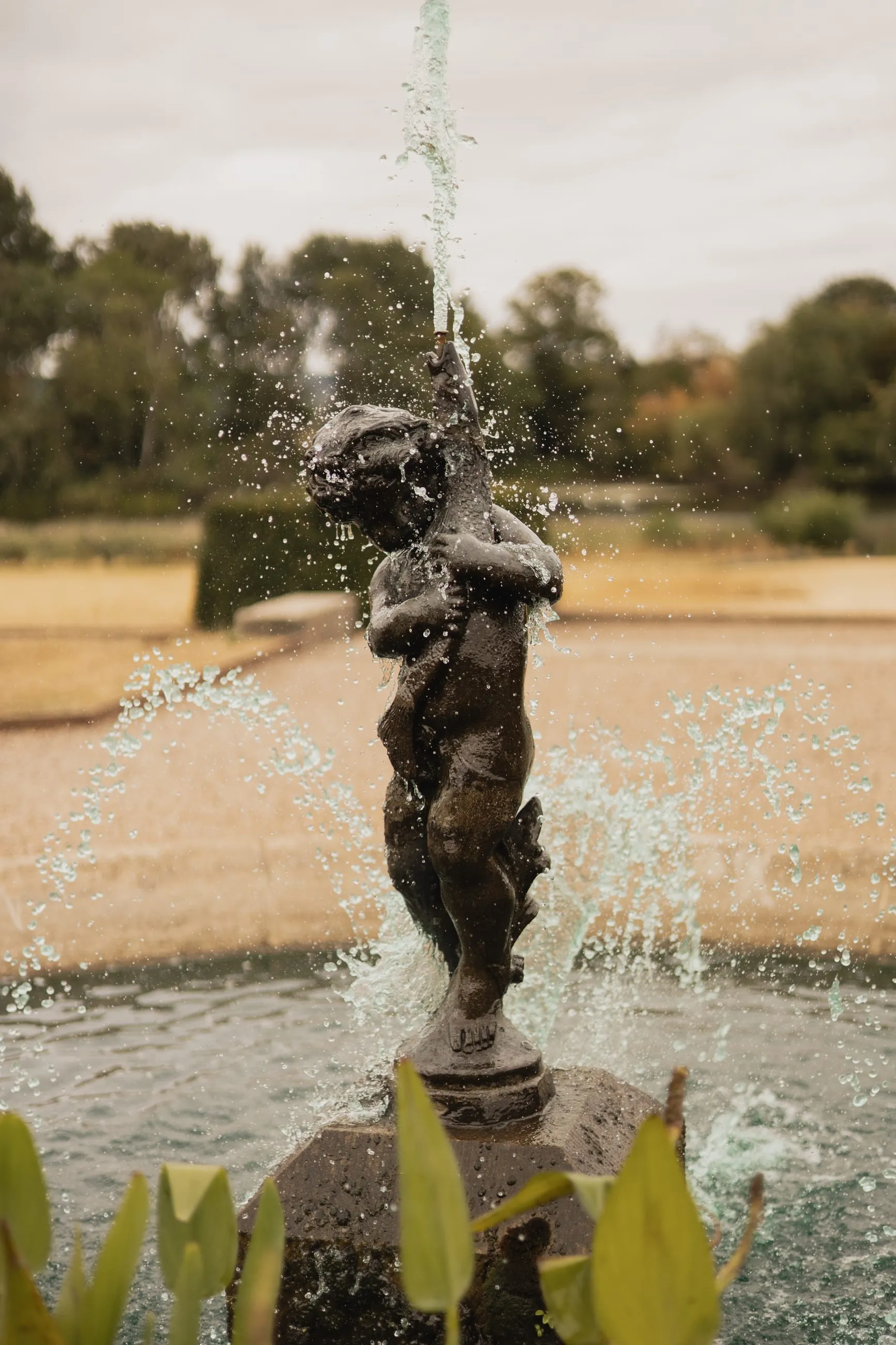 Bronze cherub fountain spraying over dry lawn