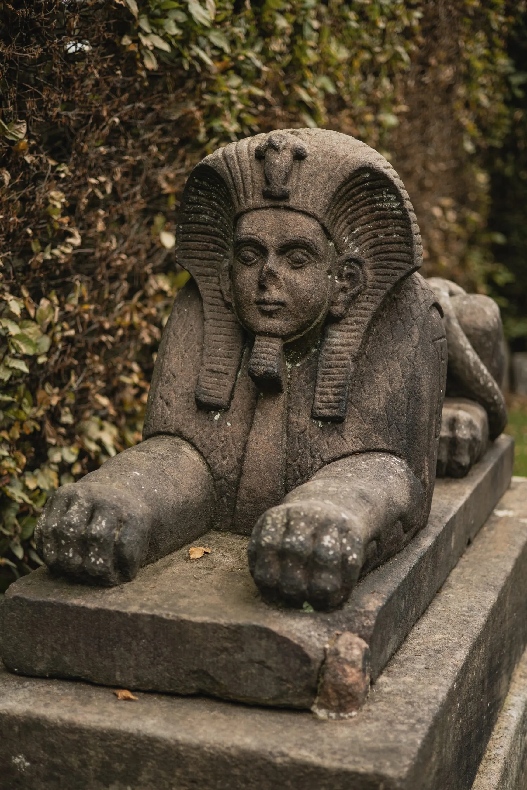 Weathered stone sphinx under ivy