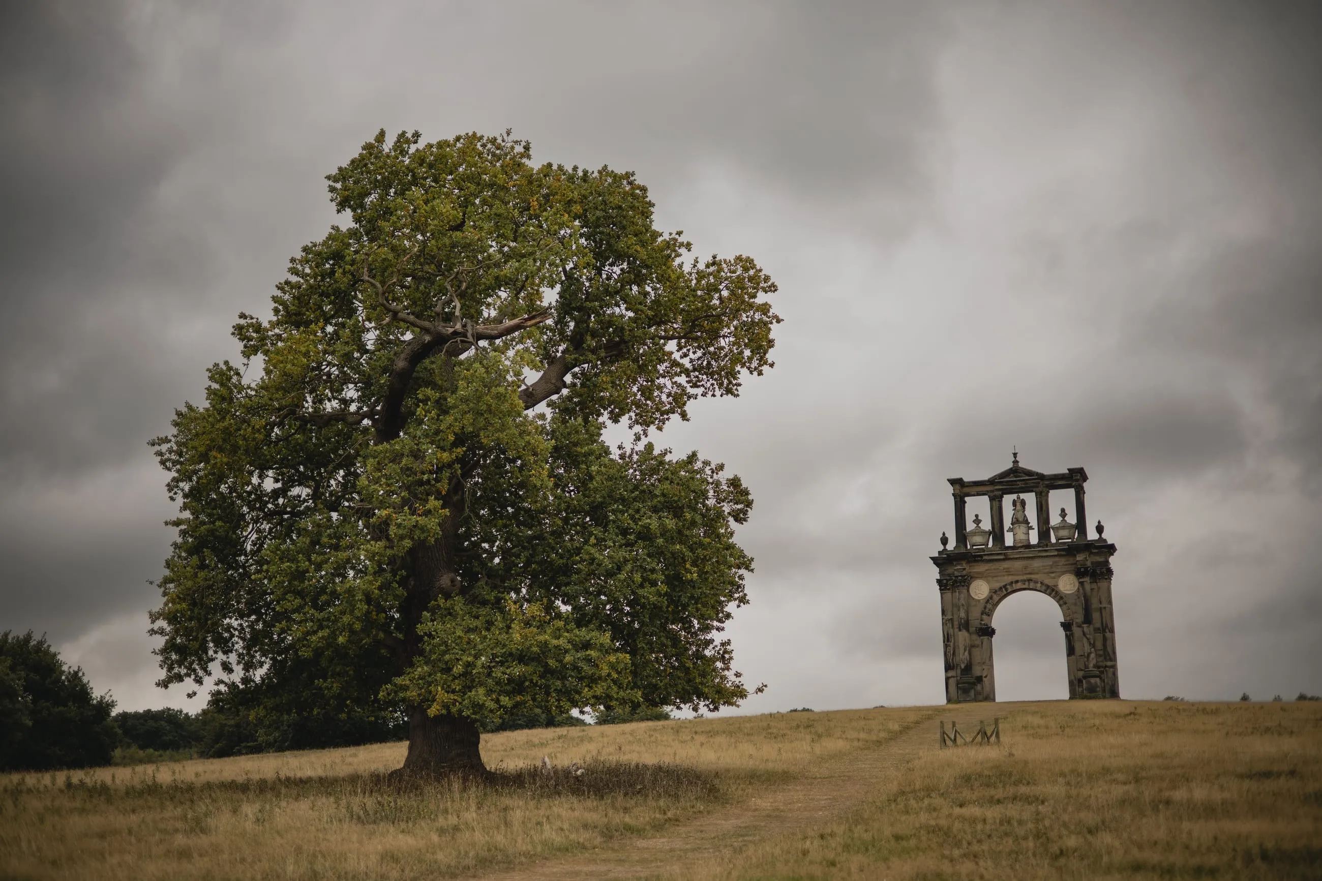 Lone oak beside a small arch on parkland