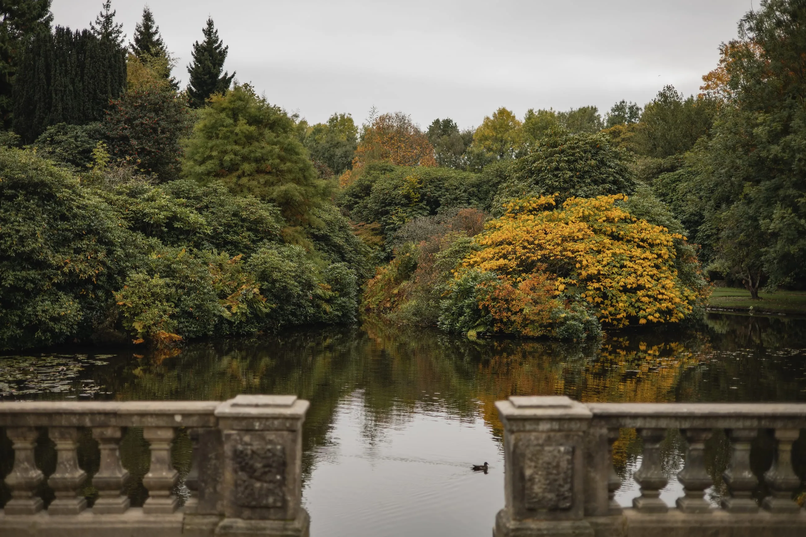 Stone balustrade over a lake with autumn trees
