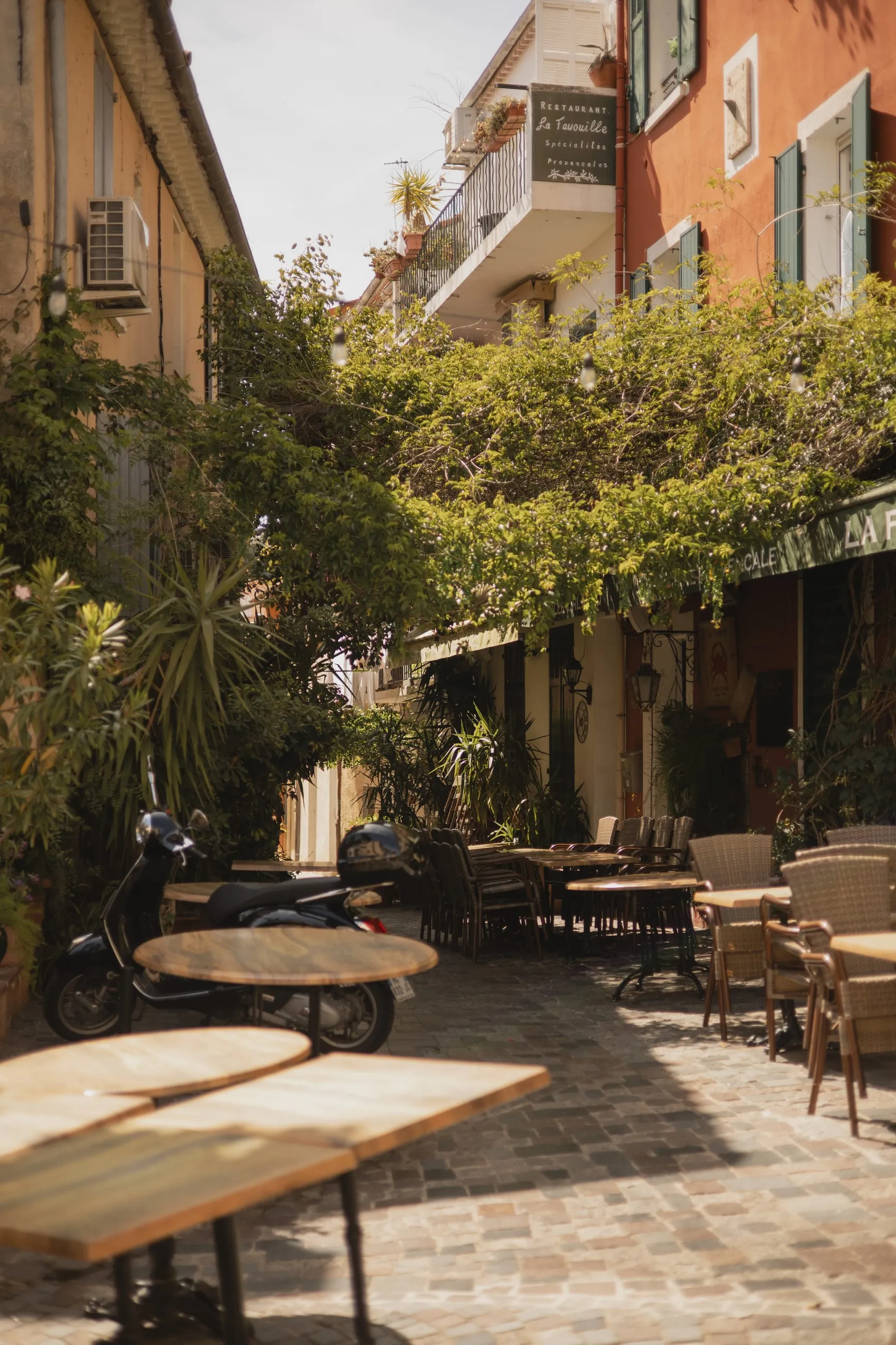 Shaded café terrace under trees