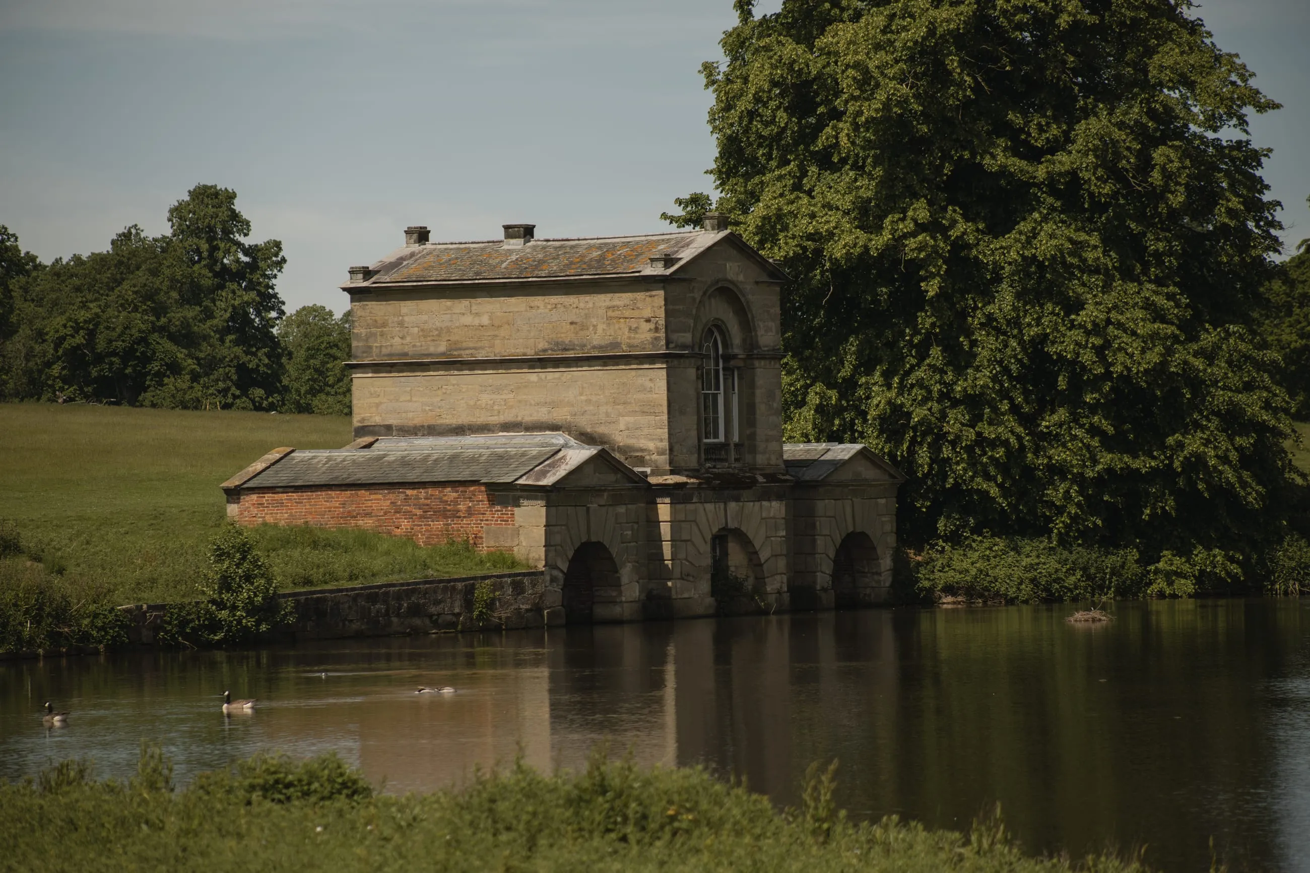 Fishing pavilion by the lake under a large tree