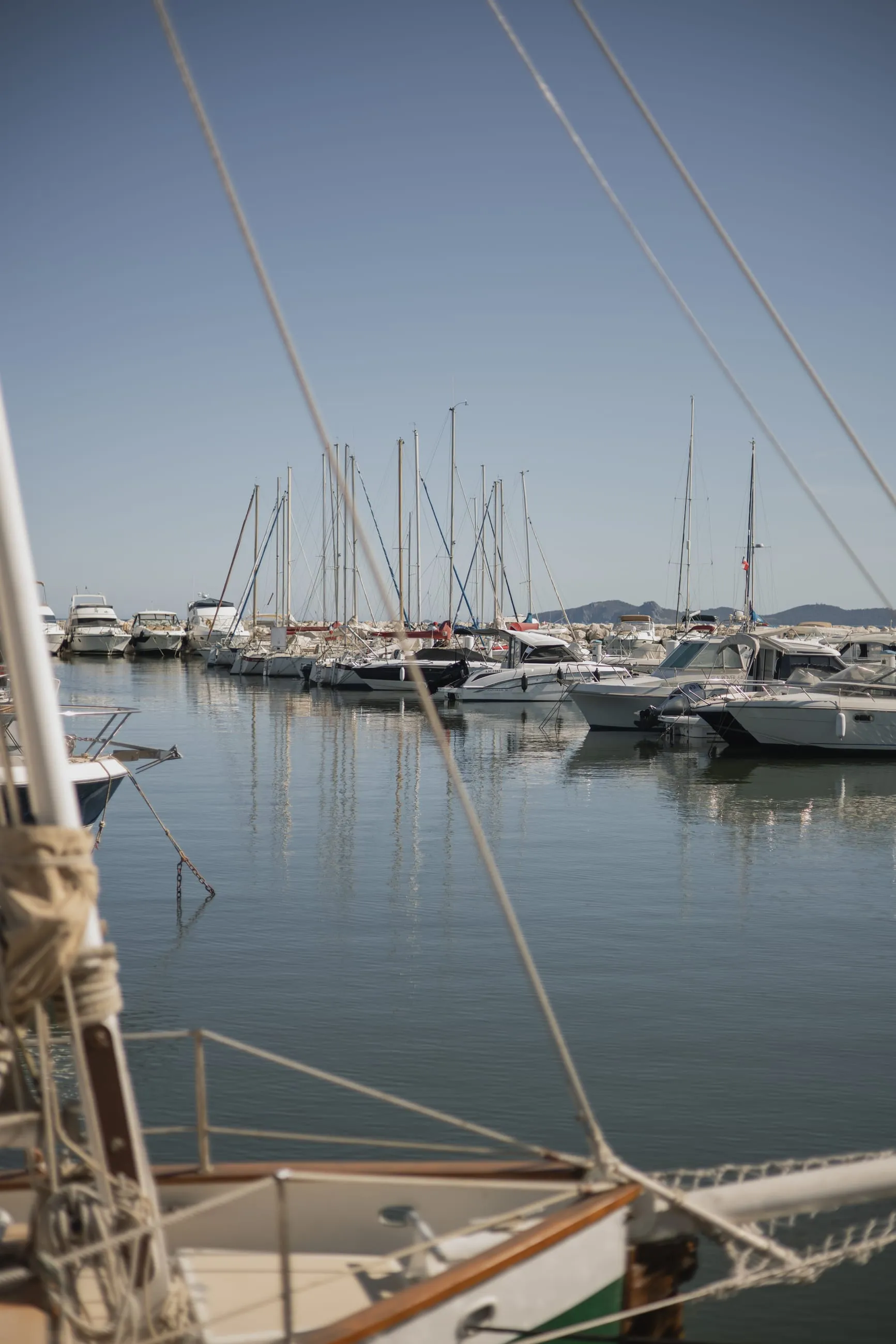 Sailing masts in a sunny marina