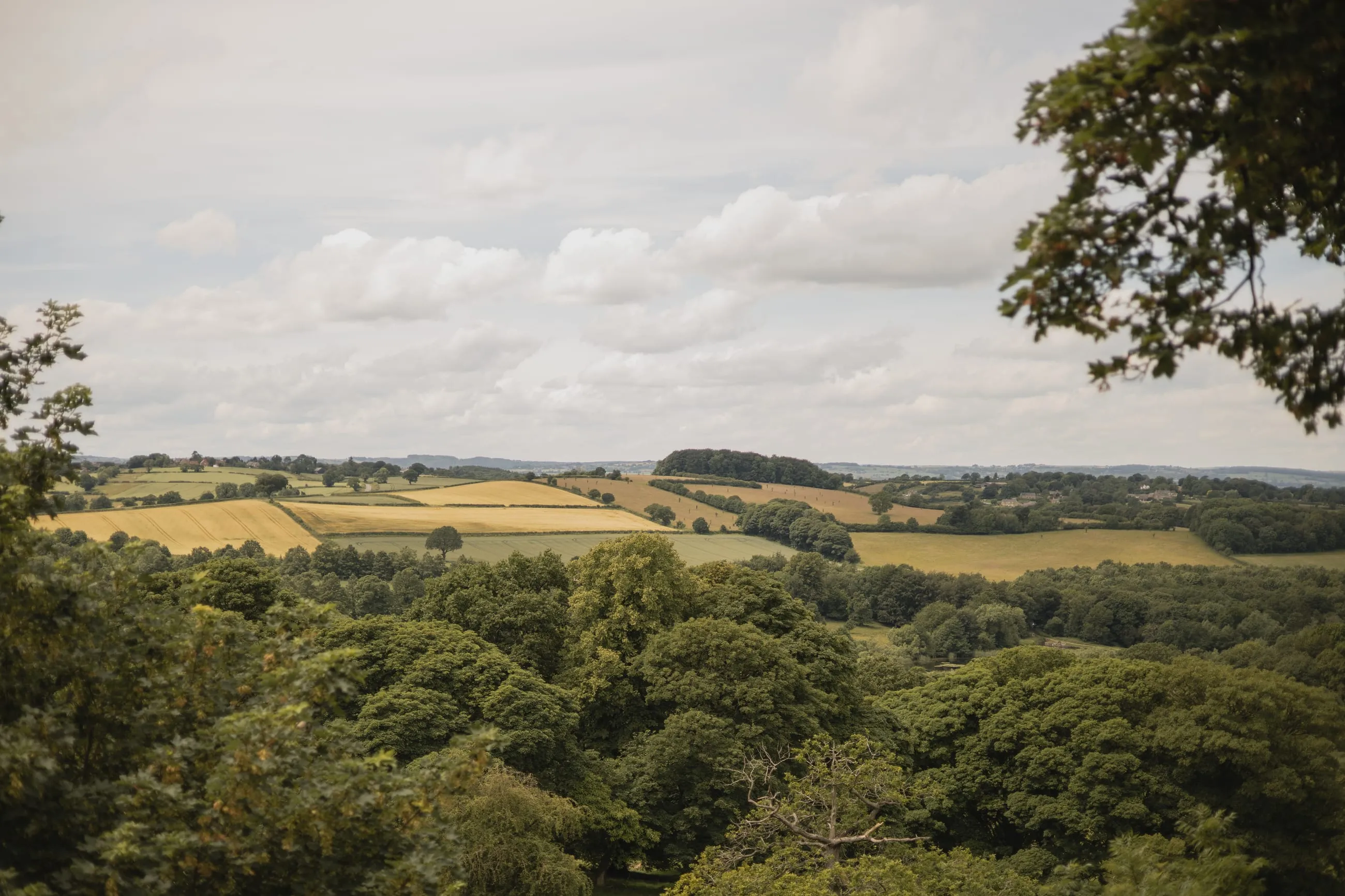 Derbyshire fields and woods from the hill